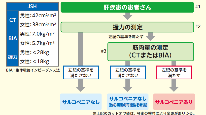 肝疾患のサルコペニア判定基準フローチャート(第1版)