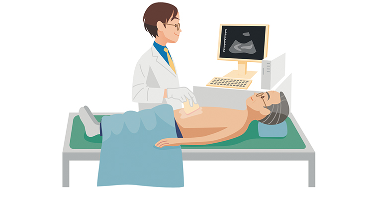 人はどれくらいのコリンを必要としますか?