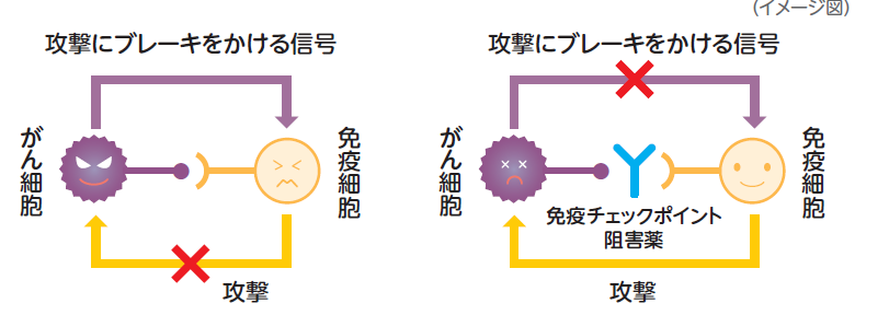免疫療法