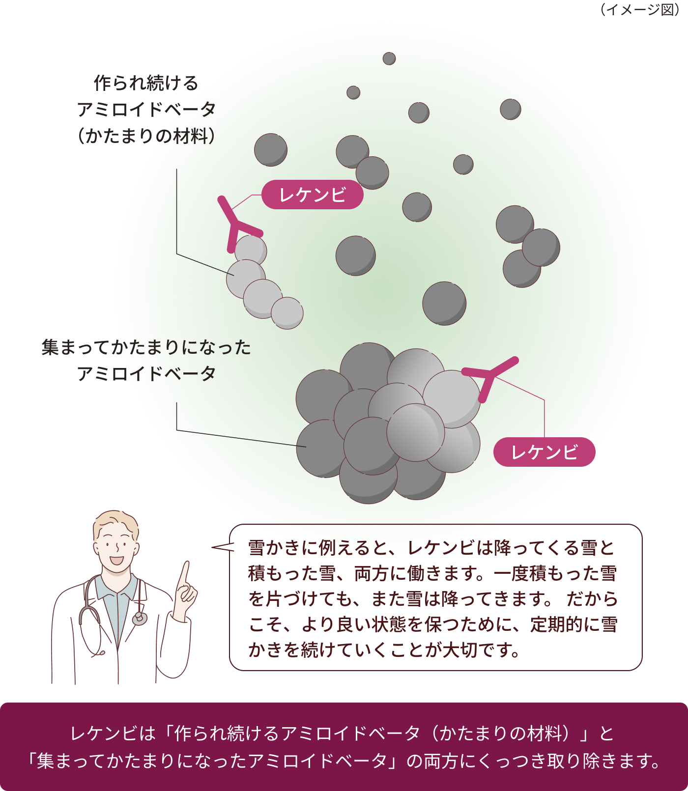 作られ続けるアミロイドベータと集まってかたまりになったアミロイドベータの両方に作用