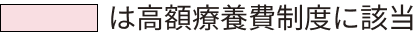 は高額療養費制度に該当